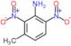 3-Methyl-2,6-dinitroaniline