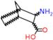 3-aminobicyclo[2.2.1]heptane-2-carboxylic acid