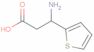 DL-3-(2-thienyl)-β-alanine