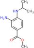 methyl 3-amino-4-[(1-methylethyl)amino]benzoate