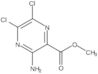 methyl 3-amino-5,6-dichloro-2-pyrazine-carboxylat