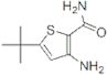 3-amino-5-(tert-butyl)thiophene-2-carboxamide