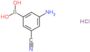 (3-amino-5-cyano-phenyl)boronic acid hydrochloride