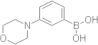 3-Morpholinophenylboronic acid