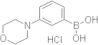 3-Morpholinophenylboronic acid hydrochloride