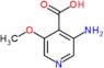 3-amino-5-methoxy-pyridine-4-carboxylic acid