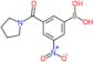 [3-nitro-5-(pyrrolidine-1-carbonyl)phenyl]boronic acid