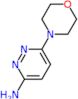 6-morpholin-4-ylpyridazin-3-amine