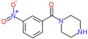 1-[(3-nitrophenyl)carbonyl]piperazine