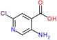 5-amino-2-chloropyridine-4-carboxylic acid