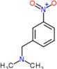 N,N-dimethyl-1-(3-nitrophenyl)methanamine