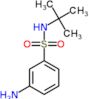 3-Amino-N-tert-butylbenzenesulfonamide