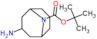 tert-butyl 3-amino-9-azabicyclo[3.3.1]nonane-9-carboxylate