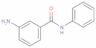 3-Amino-N-phenylbenzamide