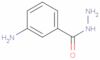 m-Aminobenzhydrazide