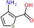 3-aminothiophene-2-carboxylic acid