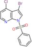 1-(benzenesulfonyl)-3-bromo-4-chloro-pyrrolo[2,3-b]pyridine