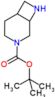 tert-butyl 3,8-diazabicyclo[4.2.0]octane-3-carboxylate