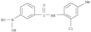 Boronic acid,B-[3-[[(2-chloro-4-methylphenyl)amino]carbonyl]phenyl]-