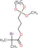 3-(trimethoxysilyl)propyl 2-bromo-2-methylpropanoate