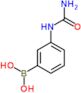 [3-(carbamoylamino)phenyl]boronic acid