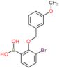 {3-bromo-2-[(3-methoxybenzyl)oxy]phenyl}boronic acid