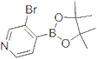 3-Bromo-4-(4,4,5,5-tetramethyl-1,3,2-dioxaborolan-2-yl)pyridine