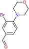 3-bromo-4-(morpholin-4-yl)benzaldehyde