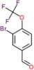 3-bromo-4-(trifluoromethoxy)benzaldehyde