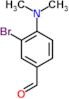 3-bromo-4-(dimethylamino)benzaldehyde