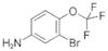 3-bromo-4-(trifluoromethoxy)aniline