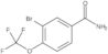 3-Bromo-4-(trifluoromethoxy)benzamide