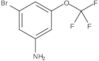 3-Bromo-5-(trifluoromethoxy)benzenamine