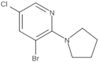 3-Bromo-5-chloro-2-(1-pyrrolidinyl)pyridine