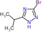 3-bromo-5-isopropyl-1H-1,2,4-triazole