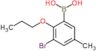 (3-bromo-5-methyl-2-propoxyphenyl)boronic acid