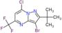 3-bromo-2-tert-butyl-7-chloro-5-(trifluoromethyl)pyrazolo[1,5-a]pyrimidine