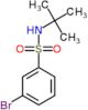 3-bromo-N-tert-butylbenzenesulfonamide