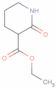 3-Carbethoxy-2-piperidone