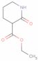 Ethyl 2-oxopiperidine-3-carboxylate