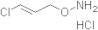 Hydroxylamine, O-[(2E)-3-chloro-2-propen-1-yl]-, hydrochloride (1:1)