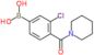 B-[3-Chloro-4-(1-piperidinylcarbonyl)phenyl]boronic acid