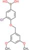 {3-chloro-4-[(3,5-dimethoxybenzyl)oxy]phenyl}boronic acid