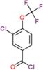 3-chloro-4-(trifluoromethoxy)benzoyl chloride