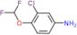 3-chloro-4-(difluoromethoxy)aniline