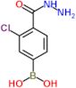 [3-chloro-4-(hydrazinecarbonyl)phenyl]boronic acid