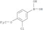 B-[3-Chloro-4-(trifluoromethoxy)phenyl]boronic acid