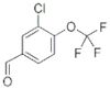 3-Chloro-4-(trifluoromethoxy)benzaldehyde