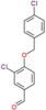 3-chloro-4-[(4-chlorobenzyl)oxy]benzaldehyde