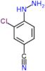 3-chloro-4-hydrazinobenzonitrile